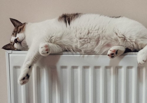 Hvilke træpiller er sikre for katte?